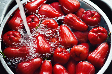 Rose apple in water