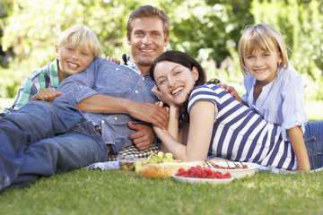 Family with picnic in park