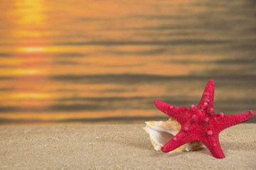 Fototapeta na wymiar Starfish and sink on sand