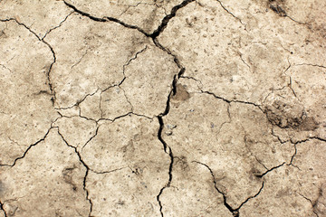 cracked earth. Global warming - parched earth