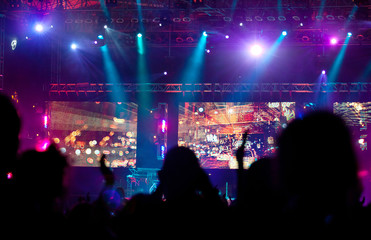 Fototapeta na wymiar Cheering crowd at concert
