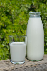 Milk