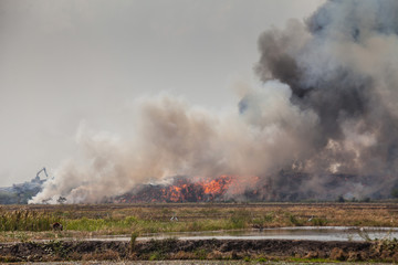 Fototapeta premium Burning garbage heap of smoke