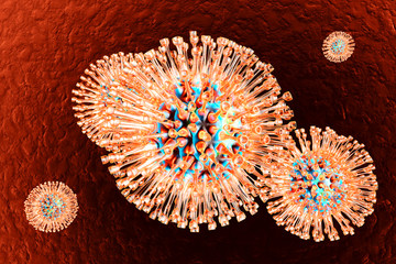 Herpes Viruses.