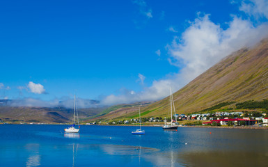 Fototapeta premium Beautiful Icelandic Vibrant Summer Landscape with Fjord, Isafjor