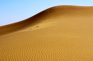 Fototapeta na wymiar Sahara lines.Erg chebi dunes.Merzouga.Morocco