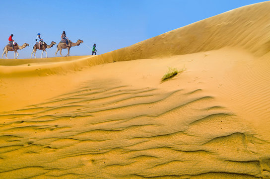 Travel with camel