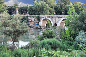 Fototapeta na wymiar Ponte Milvio in Rome