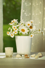 Summer daisies in front of window