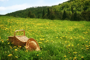 Picnic basket in the grass - 66764495