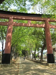 並木道と鳥居