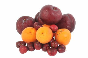 Various fruits (cherry, plum, prune apricot)