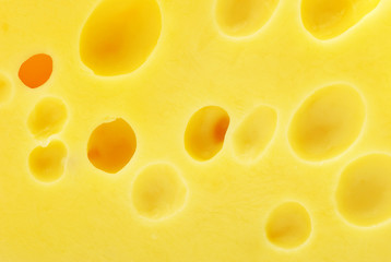 cheese