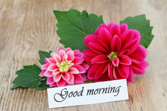 Good morning card with pink dahlia