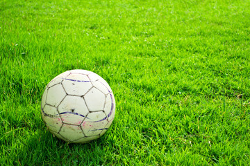 soccer ball on green grass