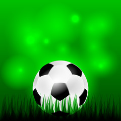 Fototapeta premium Soccer ball