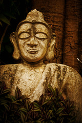 Fototapeta na wymiar Old Buddha on the background of trees