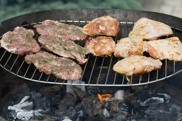 barbecue with delicious grilled meat on grill