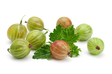 Green gooseberry with leaf