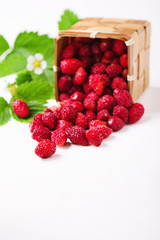 Strawberries dropped out of the fallen basket