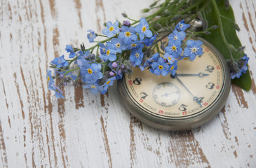 Pocket watch