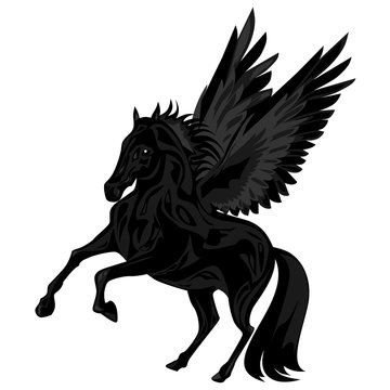 конь Пегас черный