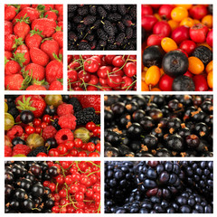 Collage of berries close-up