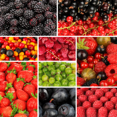 Collage of berries close-up