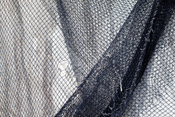 Fishnet
