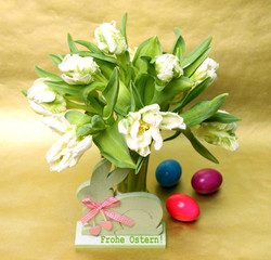 Frohe Ostern !!!