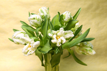 Tulpen in der Vase