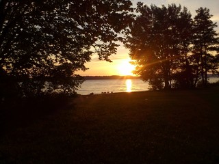 Sonnenuntergang am See mit Gänsen
