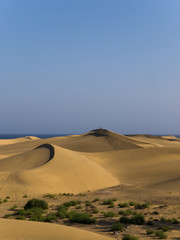 Fototapeta na wymiar Die Dünen von Maspalomas auf Gran Canaria