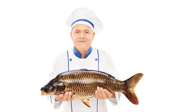 Mature chef holding an uncooked fish