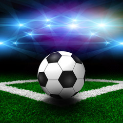 Obraz premium The soccer field.