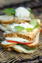 sandwich with cheese