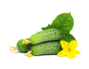 green cucumber