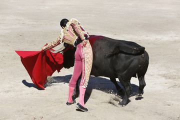 Bullfighter and bull
