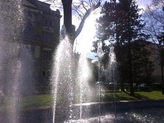 Public garden in summer