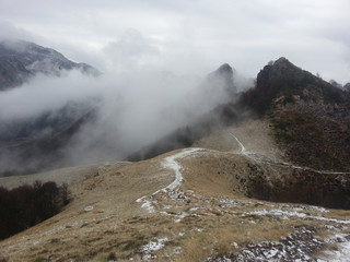 Monte