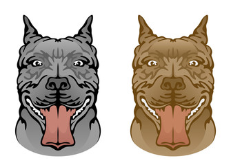 Head of fighting dog