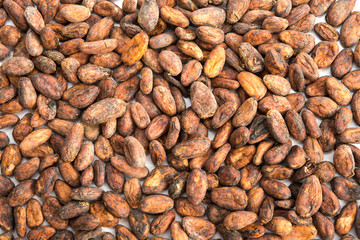 Kakaobohnen-Hintergrund