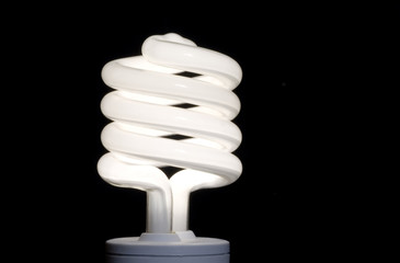 Conservation Light Bulb