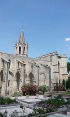Avignon