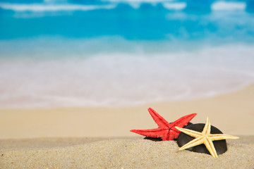 Fototapeta na wymiar Pebbles and starfish on sand