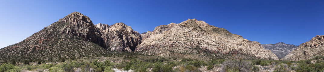 Fototapeta na wymiar Red Rock Canyons Panorama