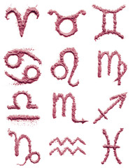 zodiac signs of blush