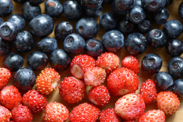 Wild berries