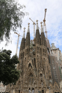 La Sagrada Familia, designed by Antoni Gaudi, in Barcelona.