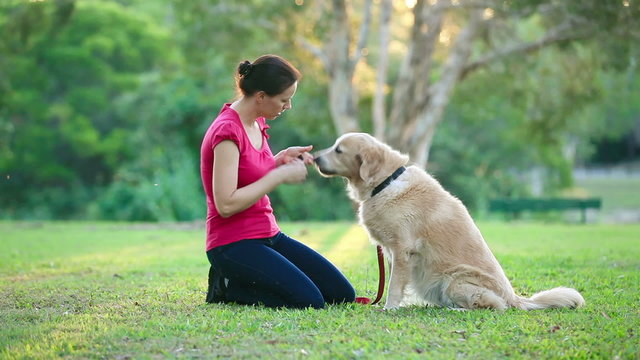 Dog and his female owner in the park doing shake